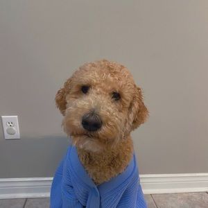 Meet your Posher, Brenda